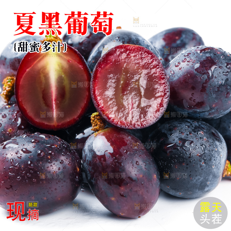 云南夏黑葡萄放在白底上