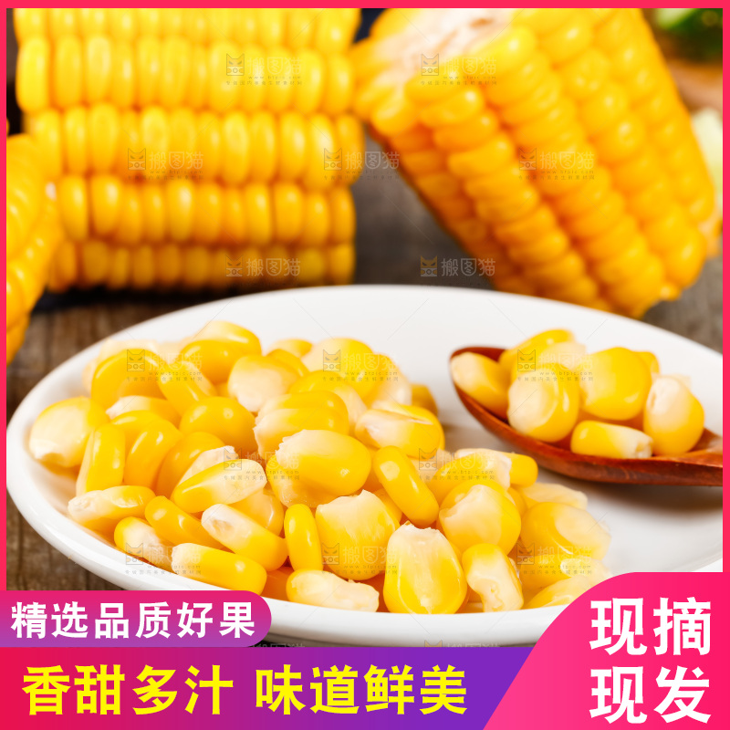 深底上的东北玉米