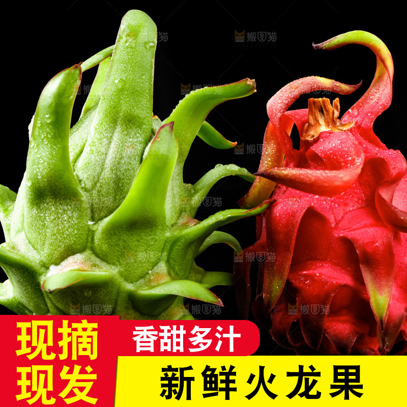 黑底上的火龙果
