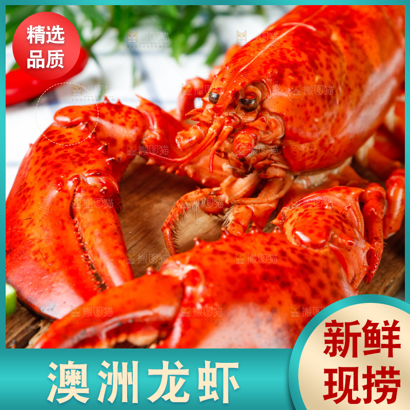 格子布上放着一盘大龙虾