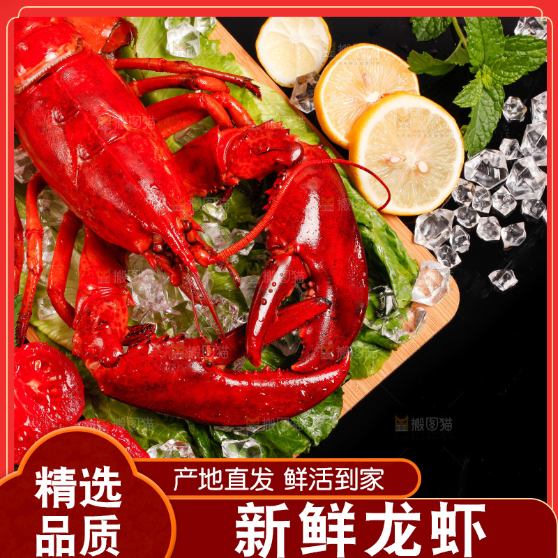 黑底上放着一盘澳洲大龙虾
