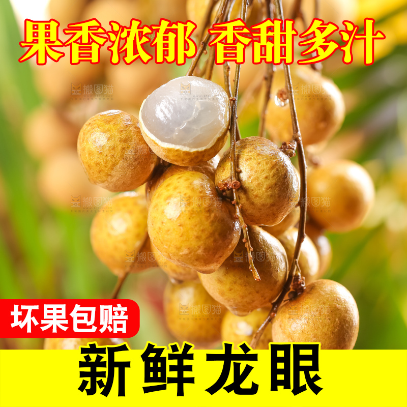 浅底上的广东龙眼