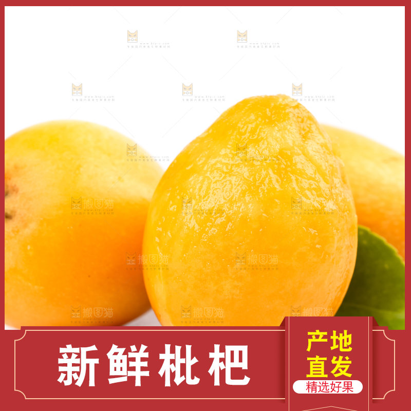 白底上放着攀枝花米易枇杷