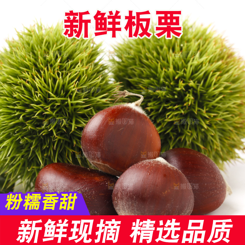 白底上摆放着迁西板栗