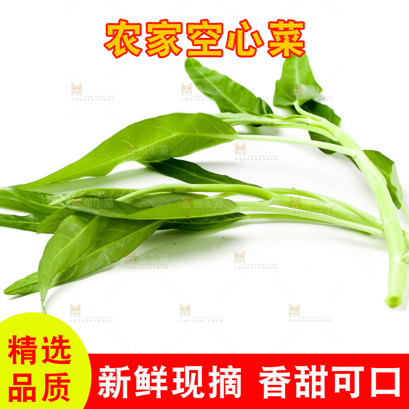 白底上放着新鲜空心菜