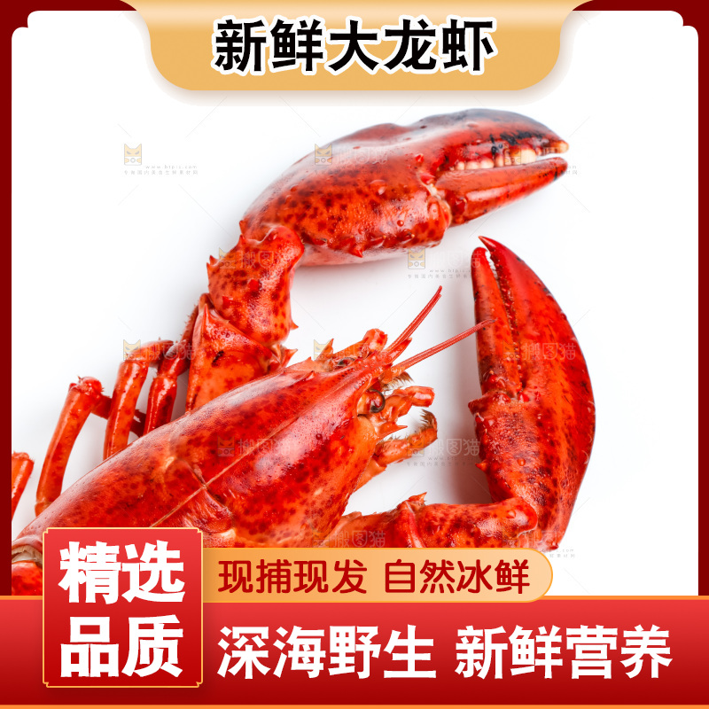 白底上的波士顿大龙虾