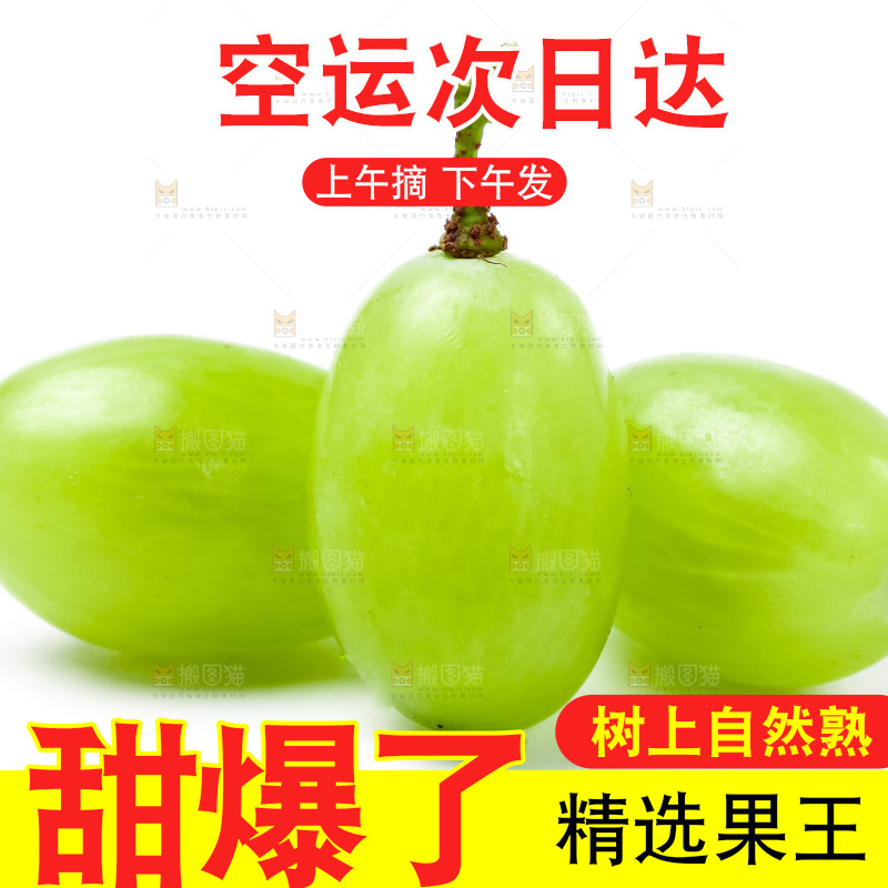白底上放着新鲜青提