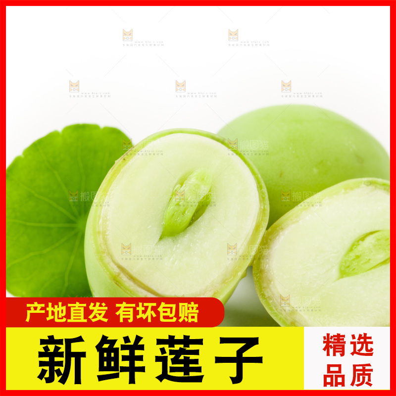 白底上放着湖北新鲜嫩莲子