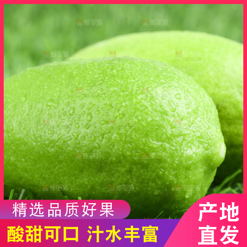 草地上放着香水青柠檬