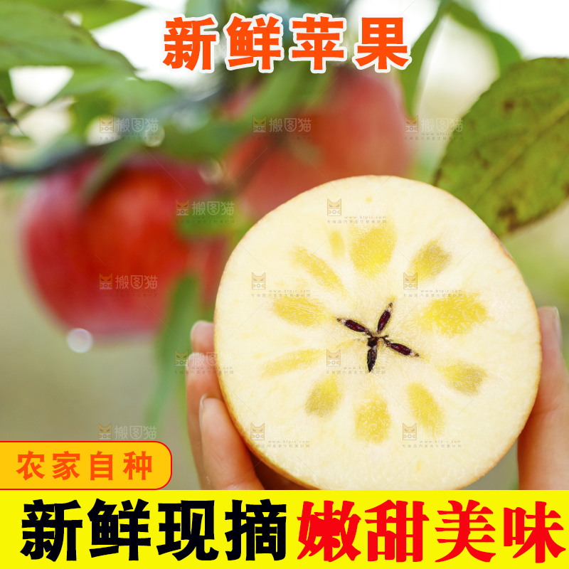 手里拿着新疆冰糖心苹果