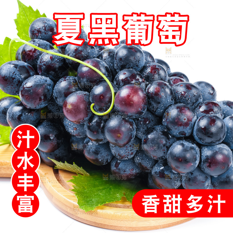 一盘新鲜夏黑放在白底上