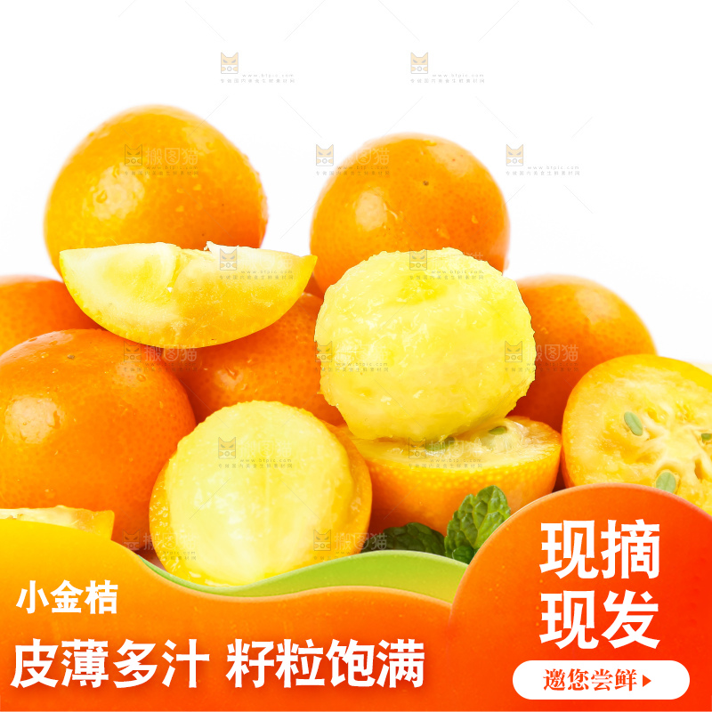 白底上摆放着阳朔金桔