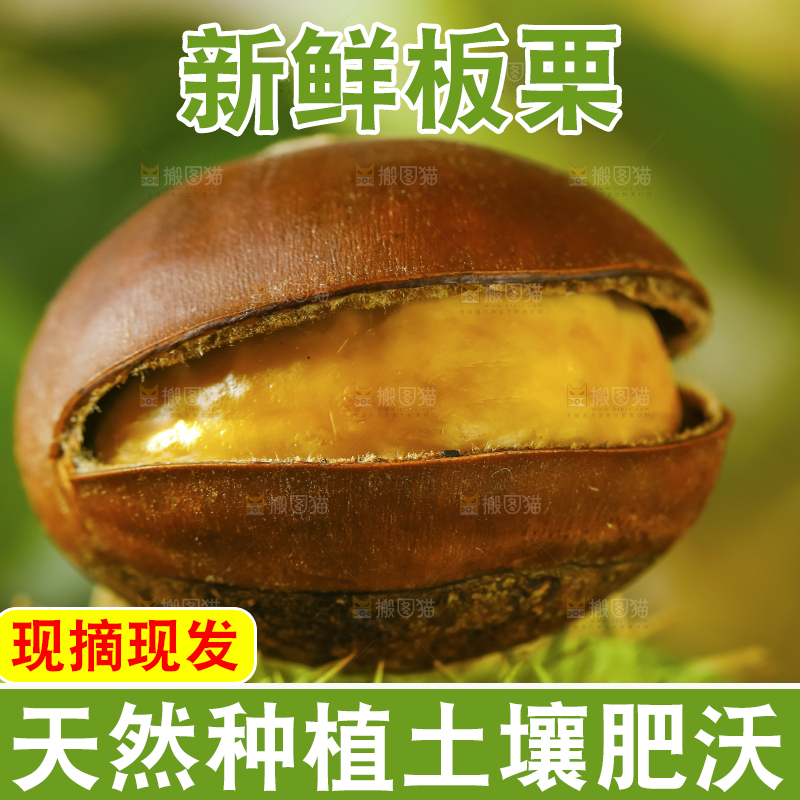 深底上放着生板栗