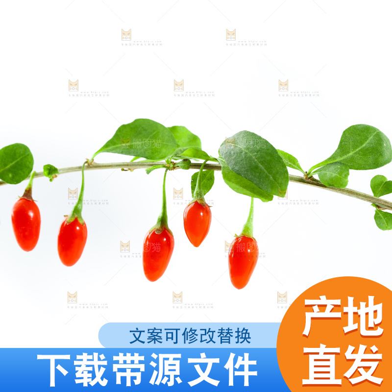 白底上放着枸杞