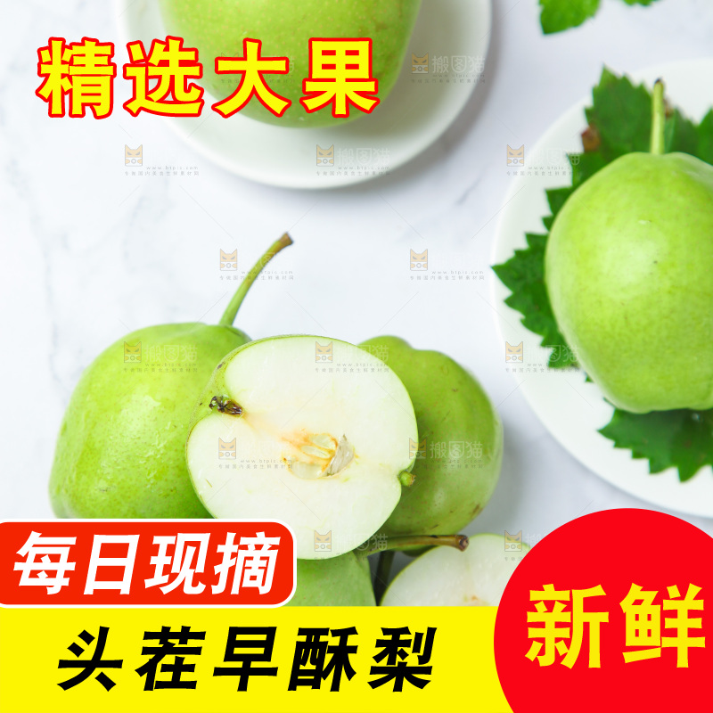 浅底上的早酥梨