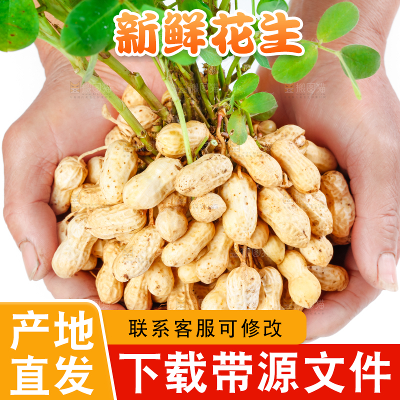 手上捧着湿花生