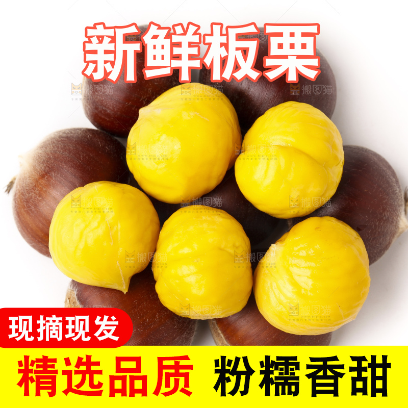 浅底上的迁西板栗