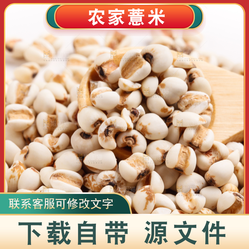 勺子里装着薏米