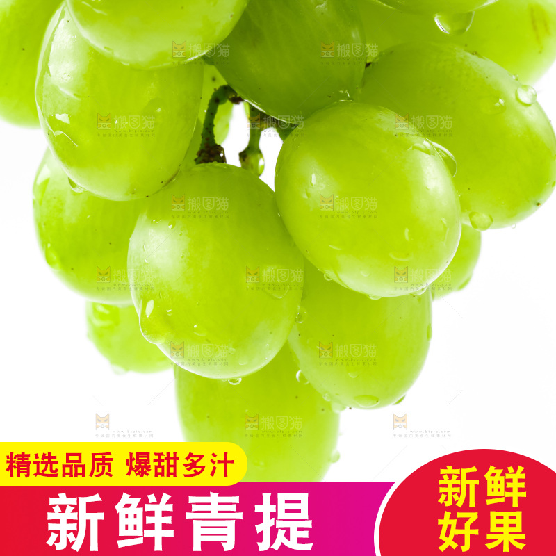 白底上的青提