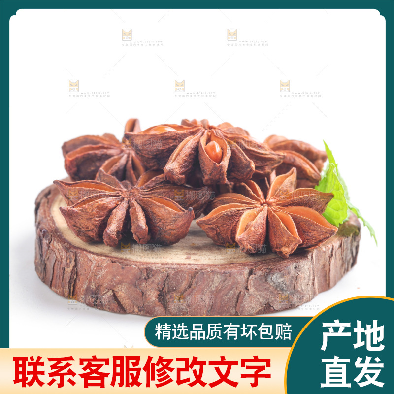 广西八角放在白底上