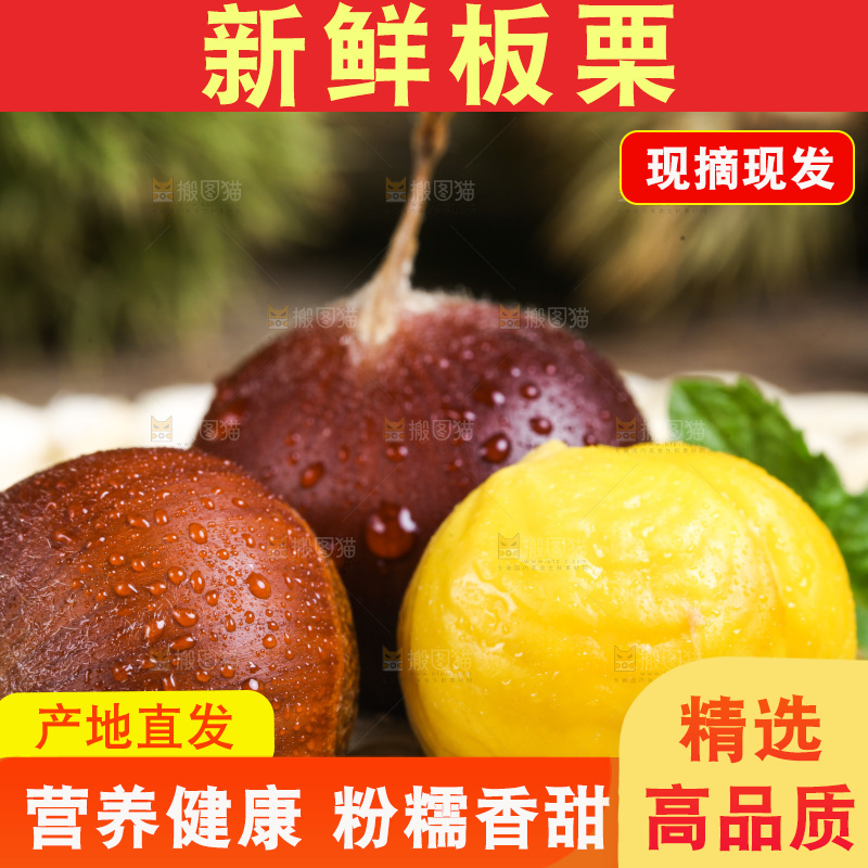 深底上放着迁西板栗