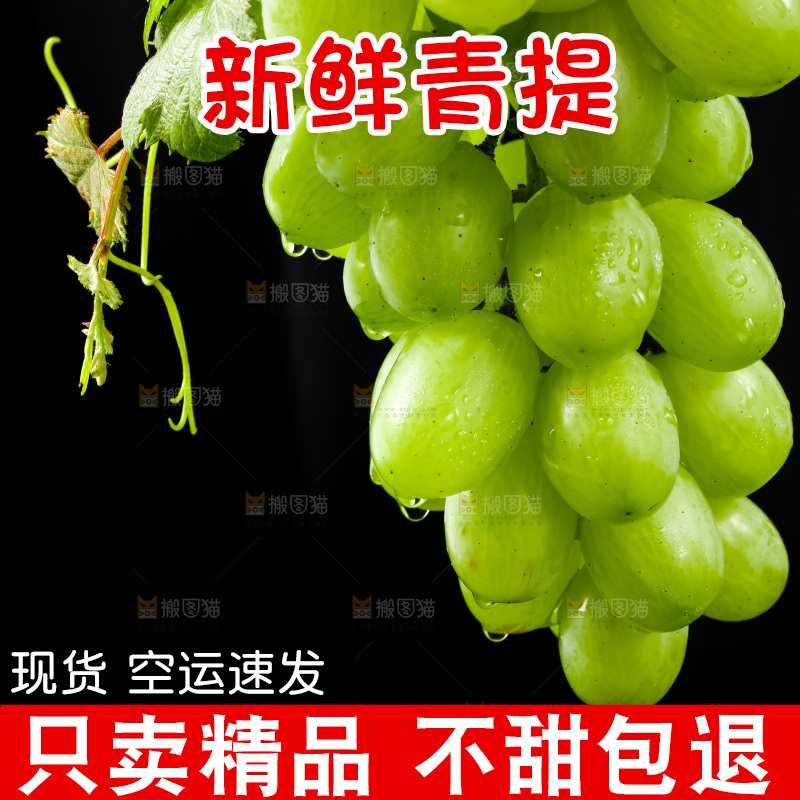 黑底上放着青提子