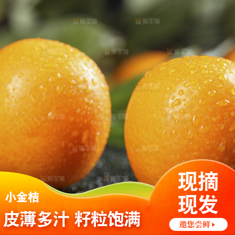 黑石板上的广西金钱橘