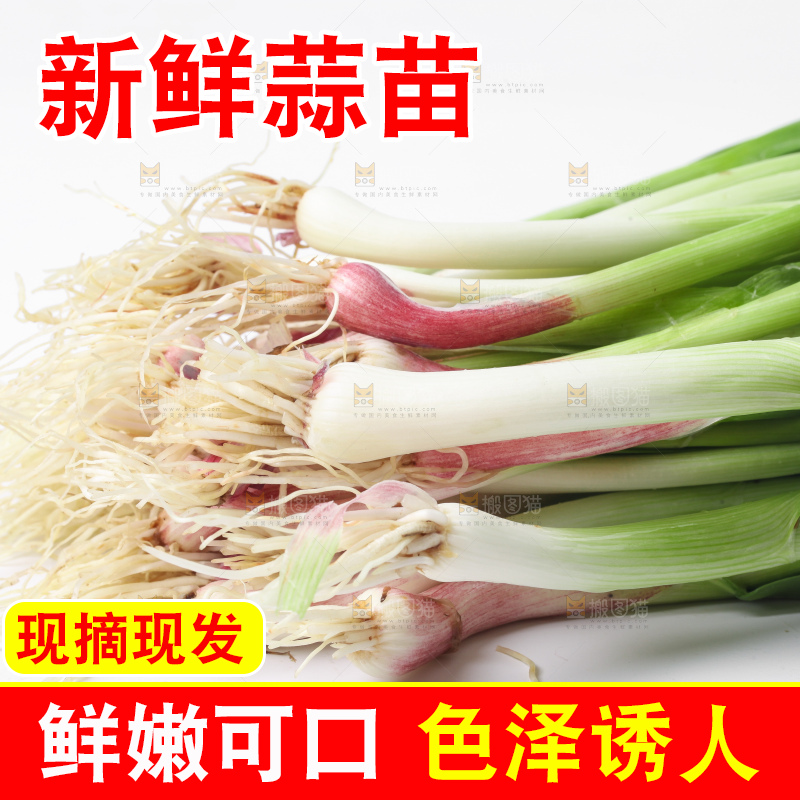 白底上放着蒜苗