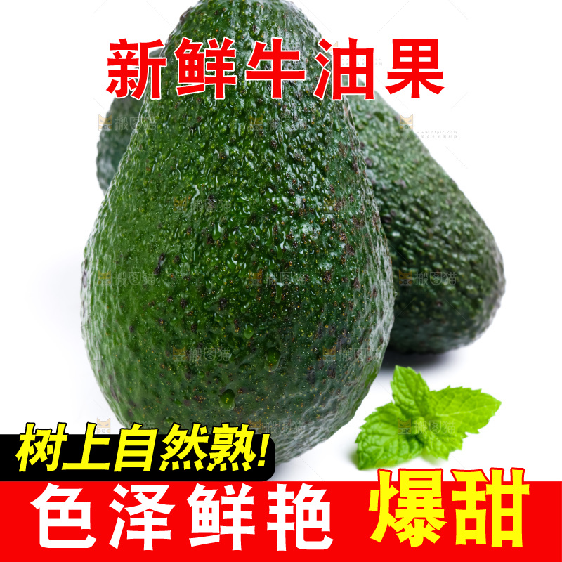 新鲜牛油果放在白底上