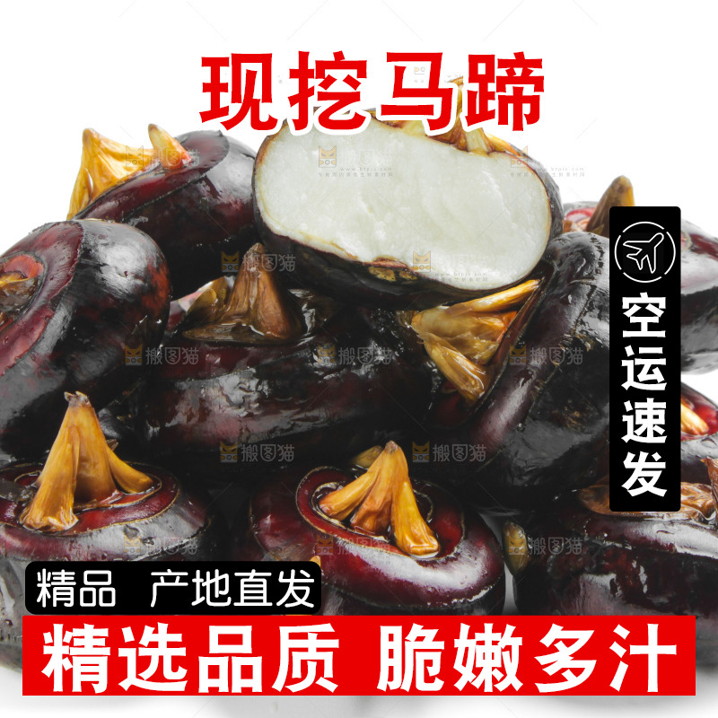 白底上摆放着广西荔浦马蹄