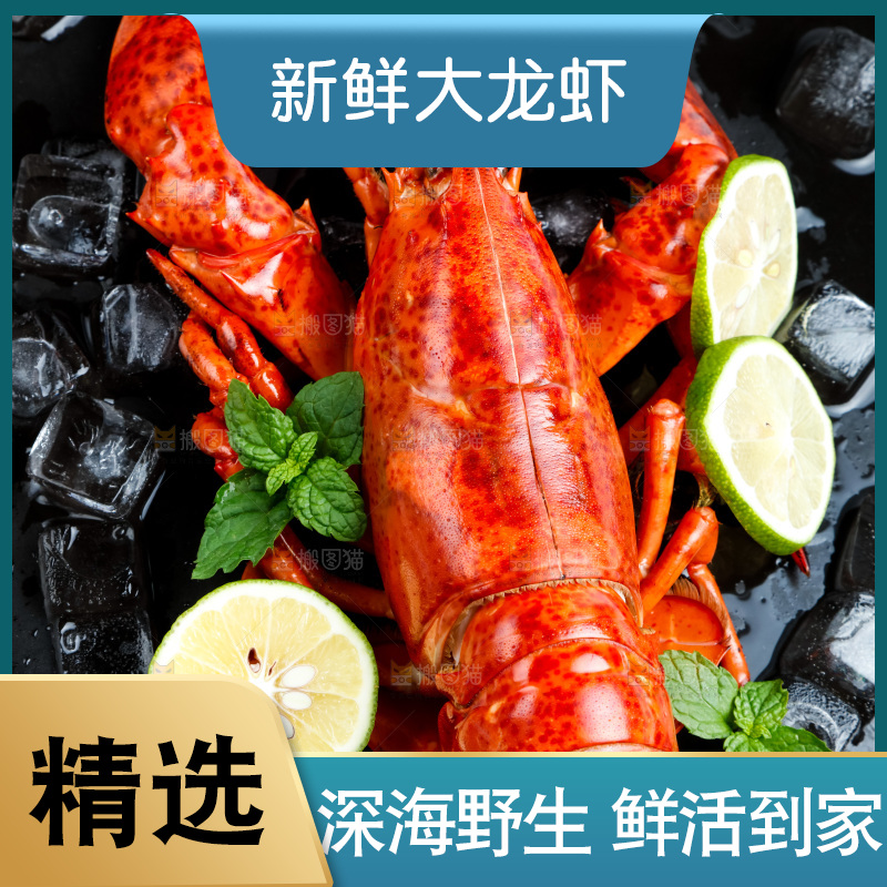盘子里装着澳洲大龙虾