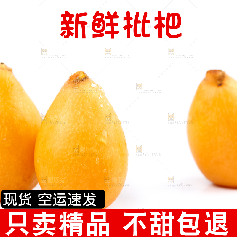 白底上放着攀枝花米易枇杷