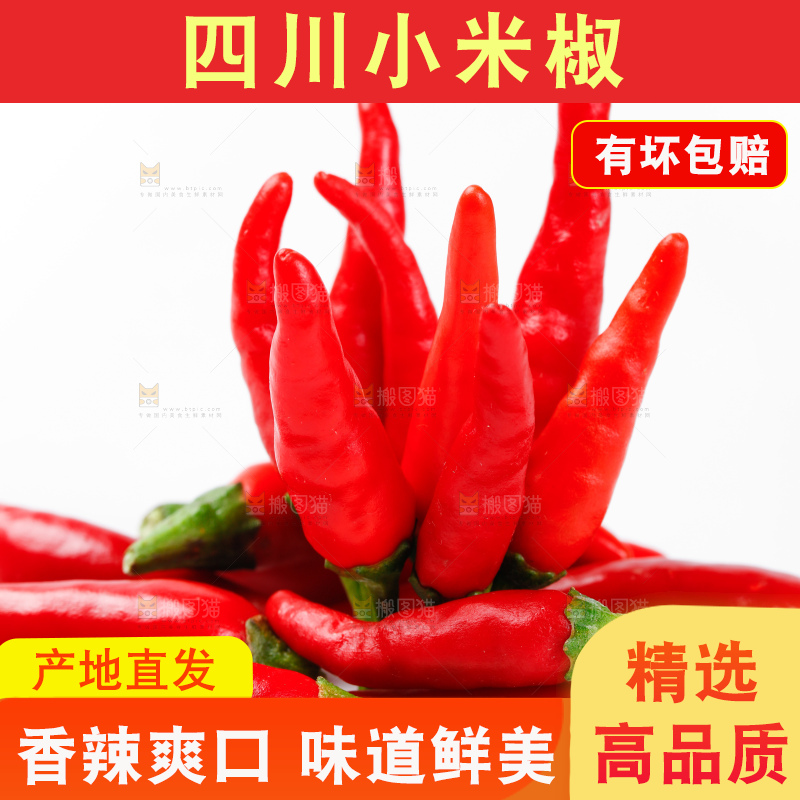 白底上的朝天椒