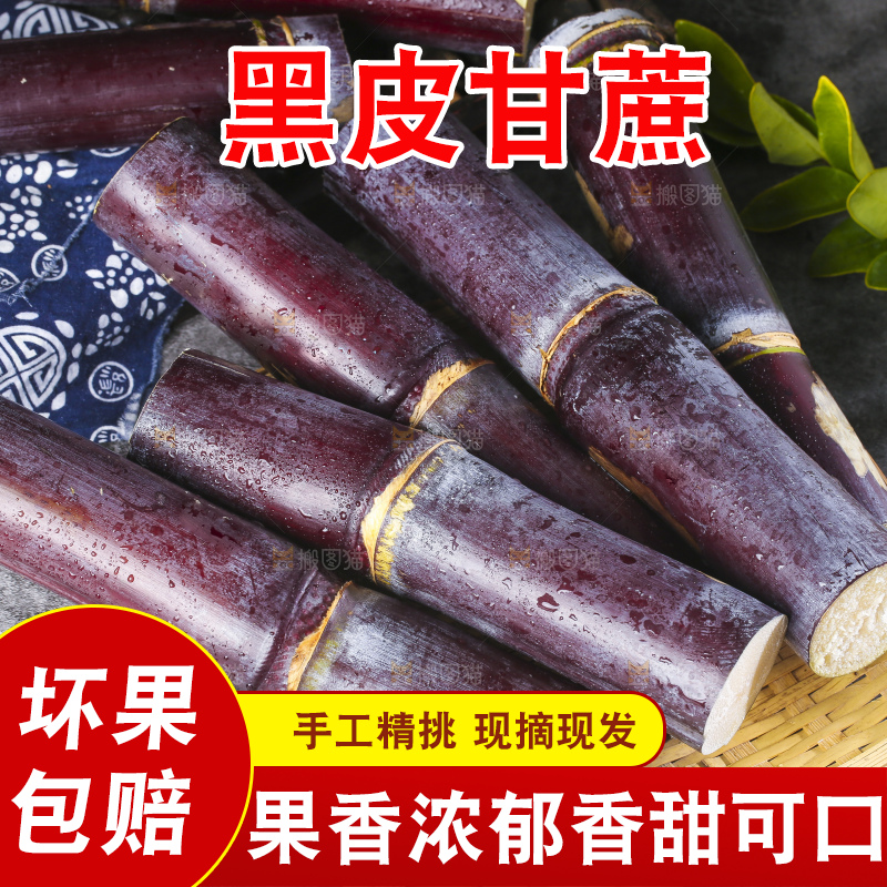 深底上的广西黑皮甘蔗