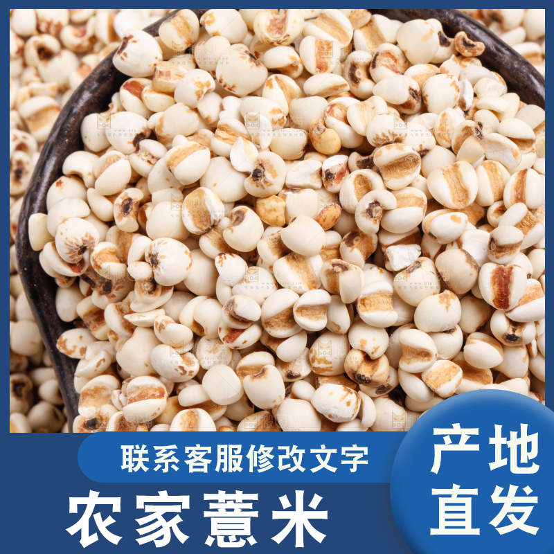 浅底上放着贵州薏米