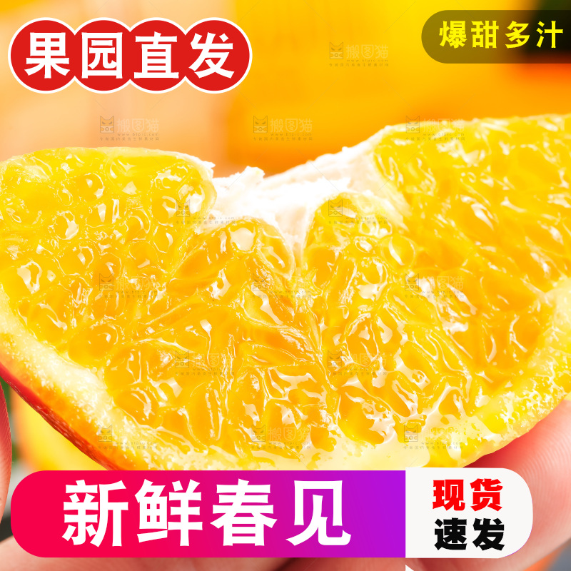 黑石板上的春见耙耙柑