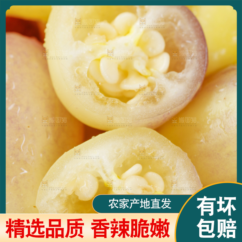 盘子里装着彩色辣椒