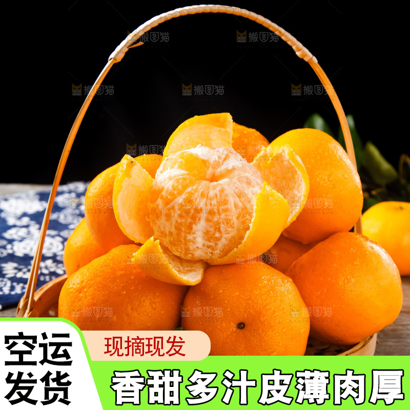 篮子里的广西椪柑