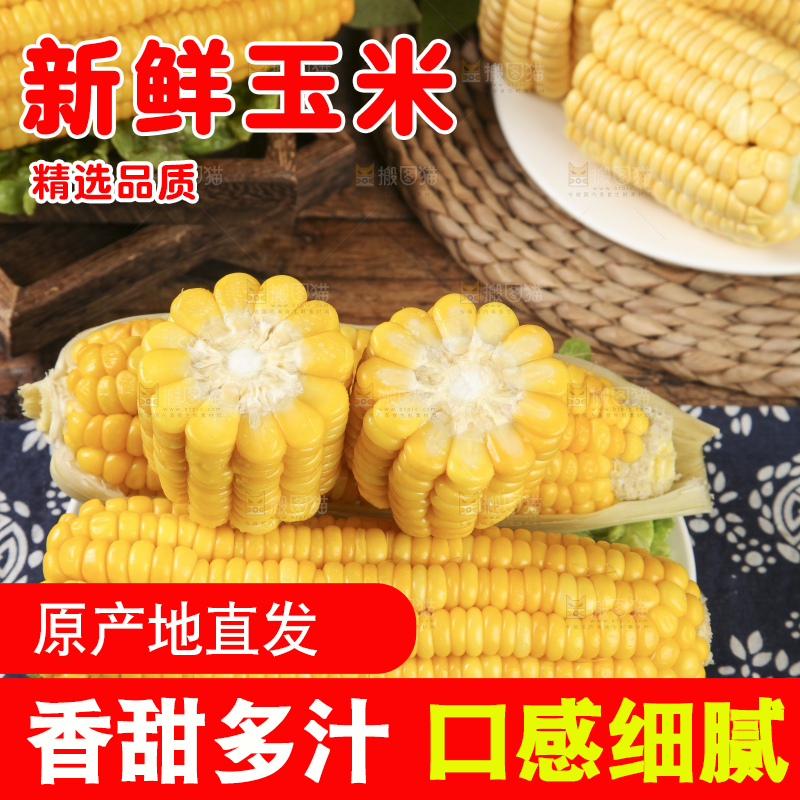 盘子里装着苞米
