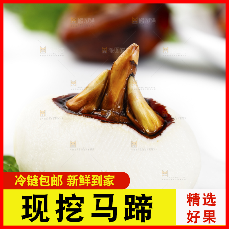 浅底上的红马蹄