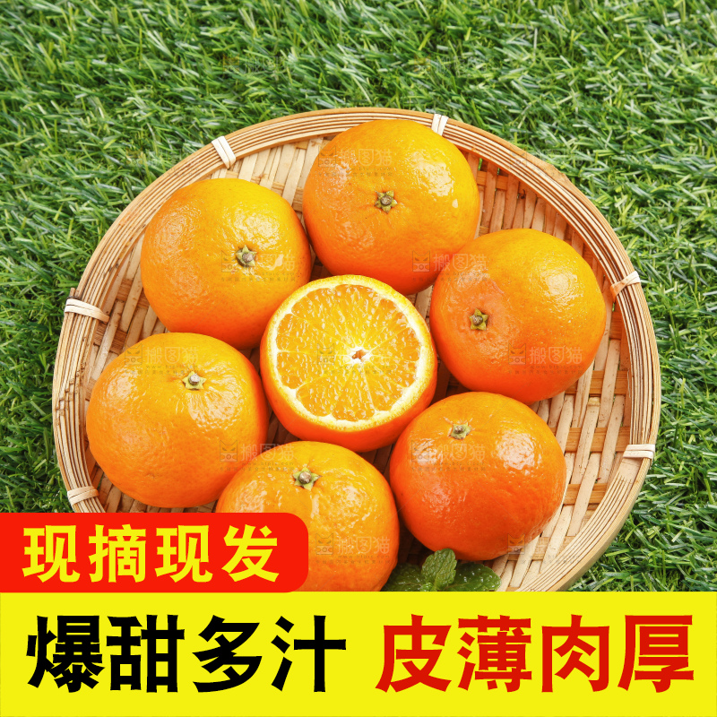草地上放着贵妃柑
