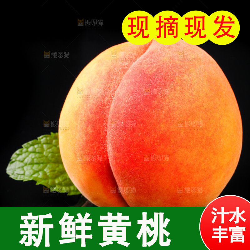 黑底上放着山东黄桃