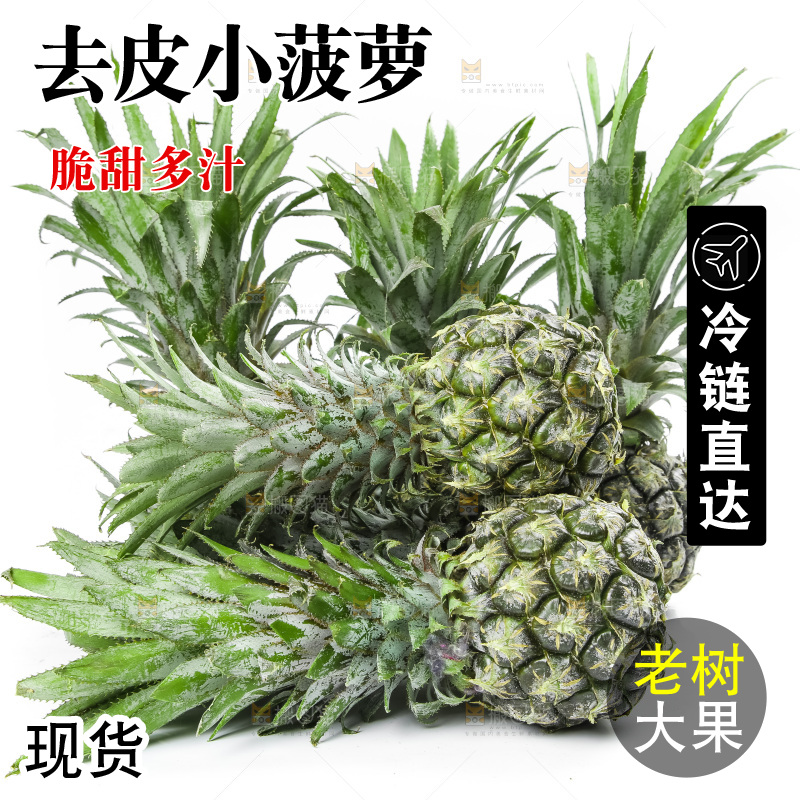 白底上放着泰国小菠萝