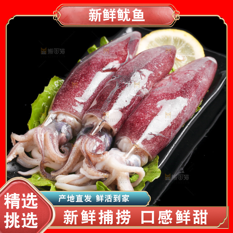 黑底上的鱿鱼