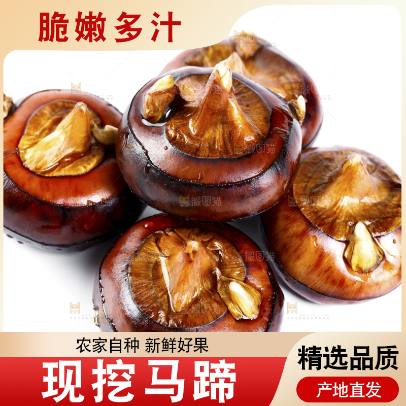 白底上的菩荠