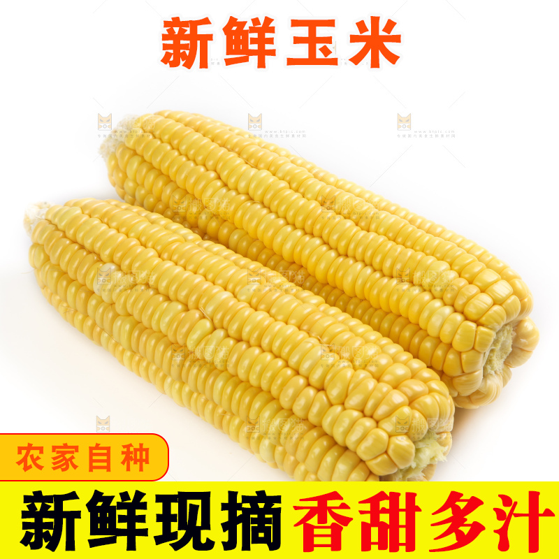 白底上放着黄玉米