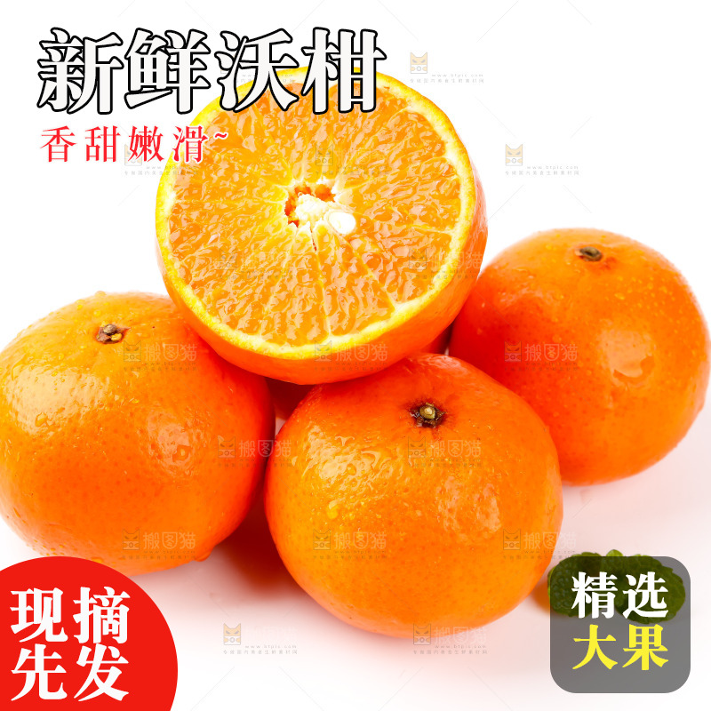 白底上放着广西沃柑
