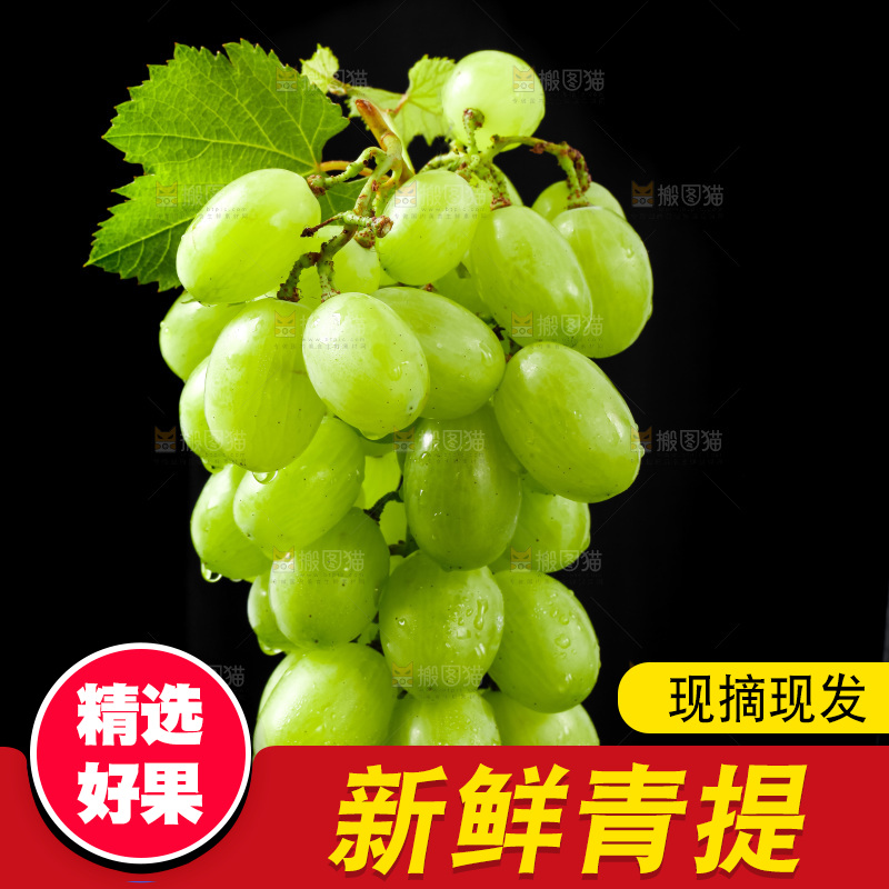 黑底上放着青提子