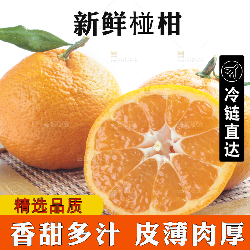 白底上摆放着椪柑橘