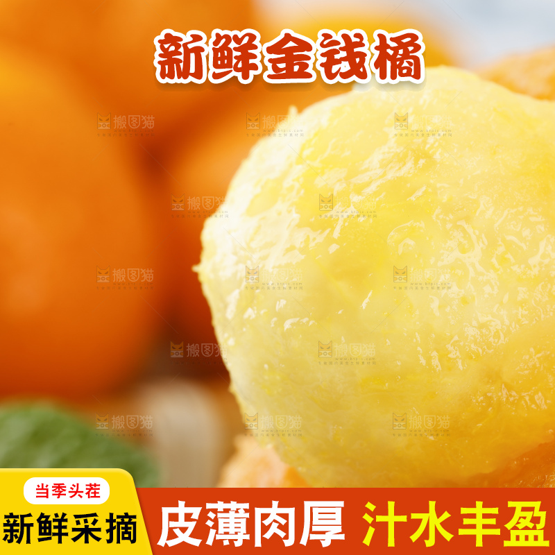 黑石板上的广西金钱橘